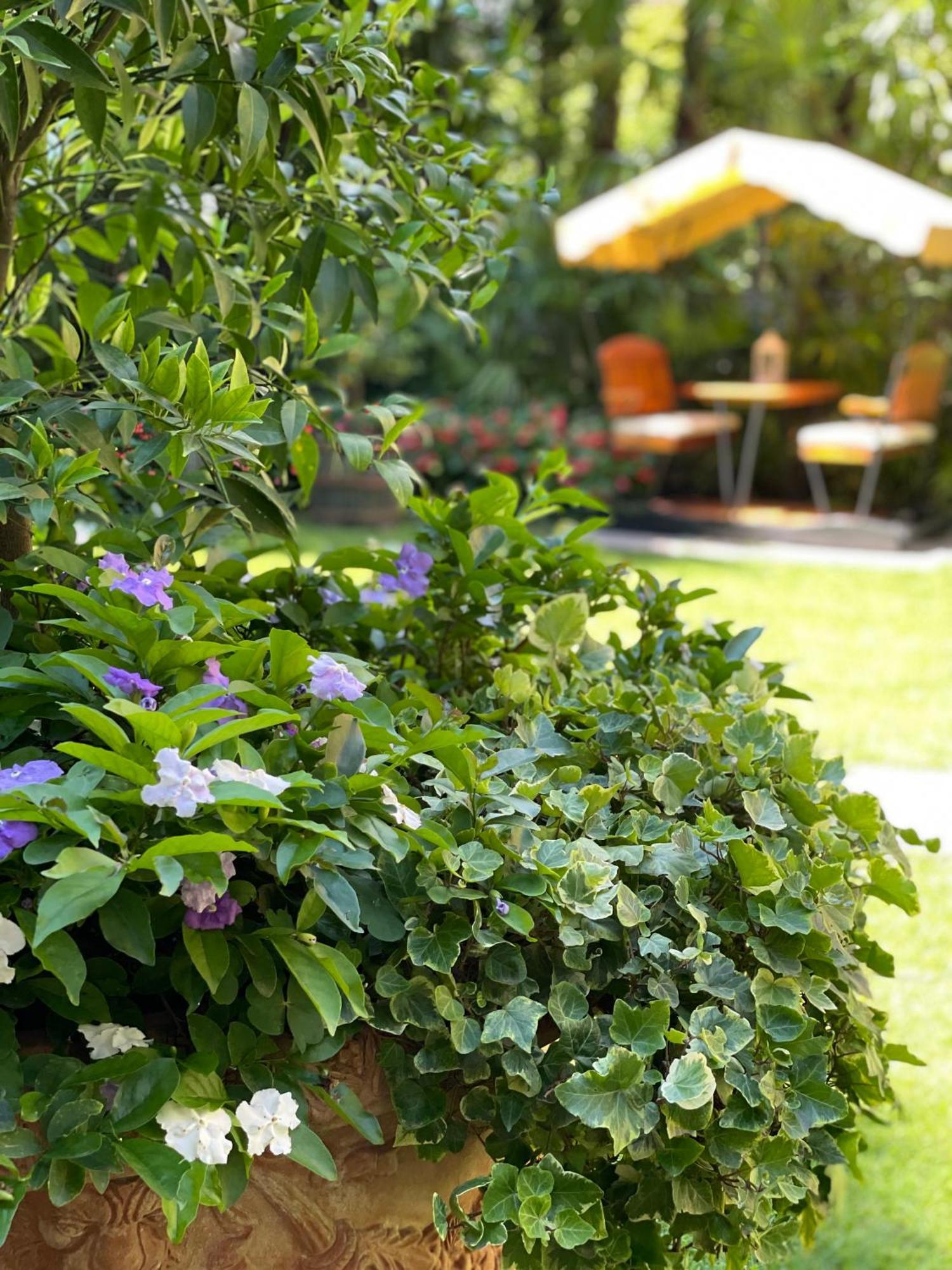 Villa Palmira Kinderfreies Hotel 坎诺比奥 外观 照片